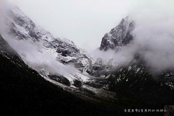 救援受困的鹭